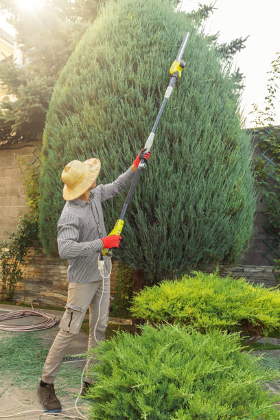 Best Artificial Turf Installation  in Waynesboro, GA